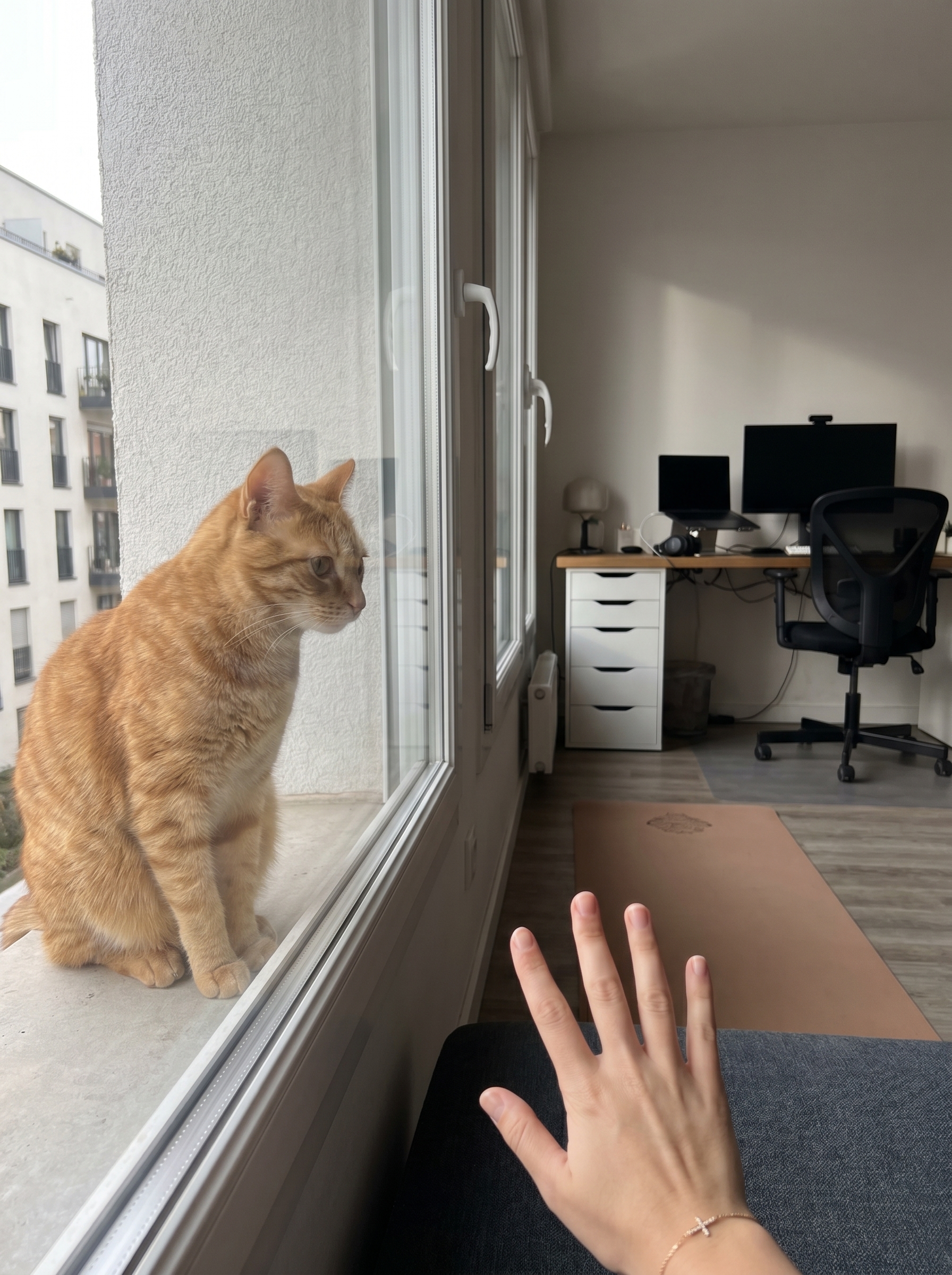 Unexpected visitor